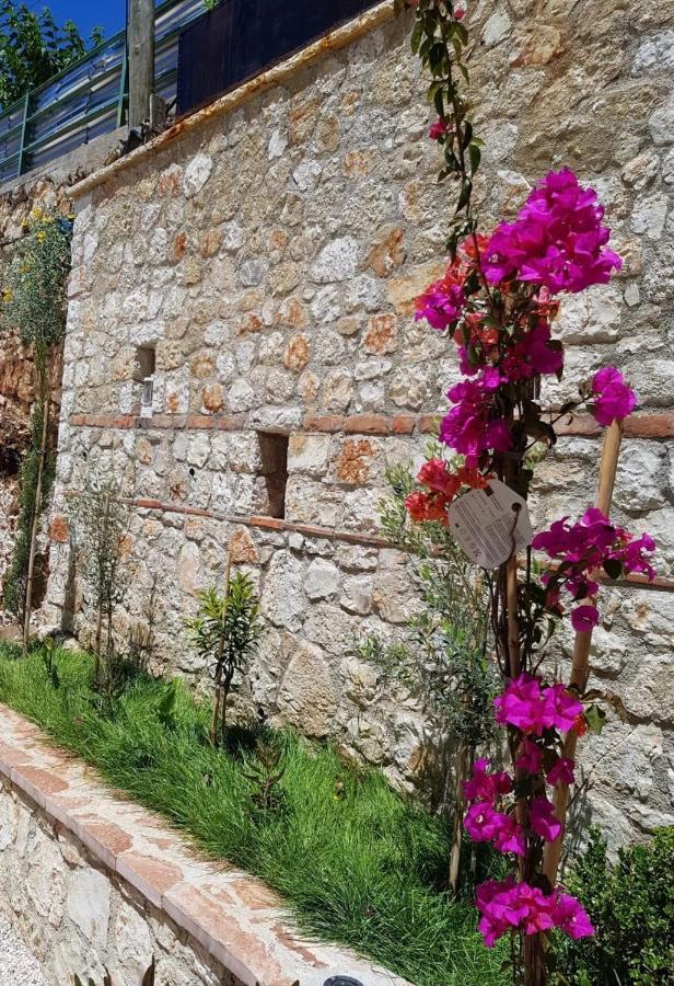 Rock Apartments Sarandë エクステリア 写真